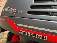 VESPA GTS 300 Super Sport  Malossi
