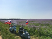 VESPA WORLD  DAYS 2019  / Maďarsko  Balatón